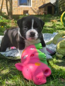 Playtime