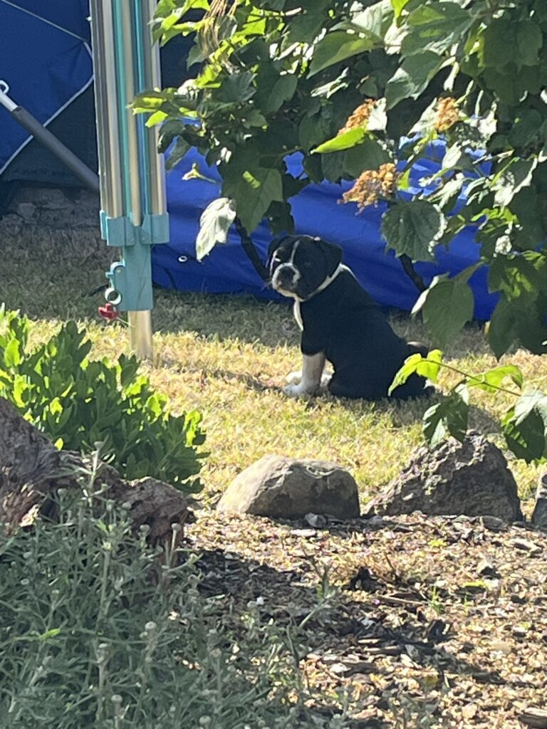 Gartenchecker