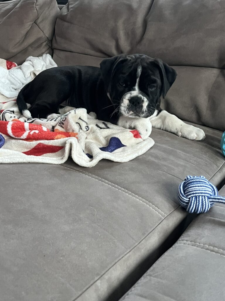 Couchpotato