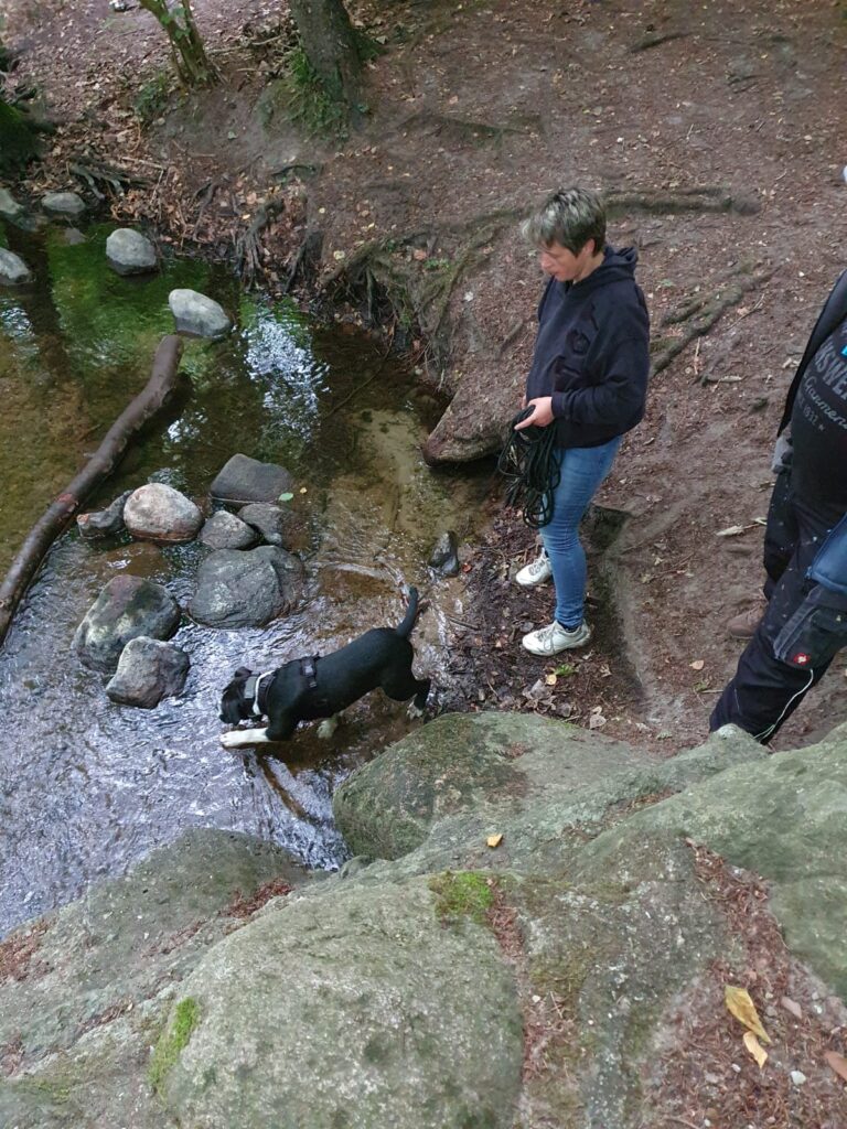 Der Strombezwinger
